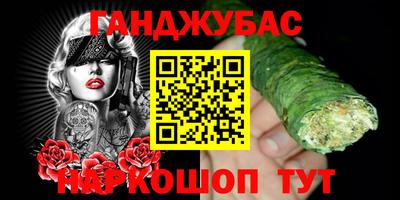 мдпв Камышлов