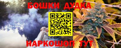 мдпв Камышлов
