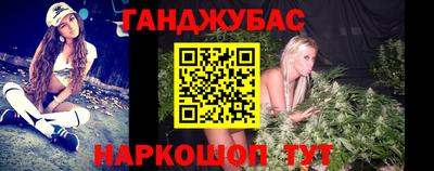 мдпв Камышлов