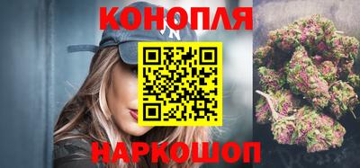 мдпв Камышлов
