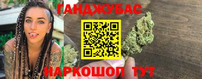 мдпв Камышлов