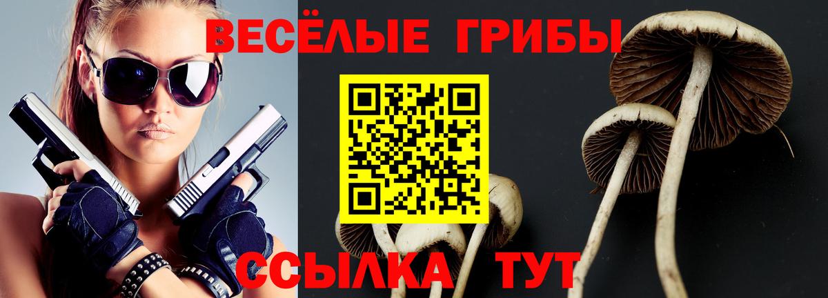 где продают наркотики  Вход с VPN  Лангепас  Псилоцибиновые грибы прущие грибы 